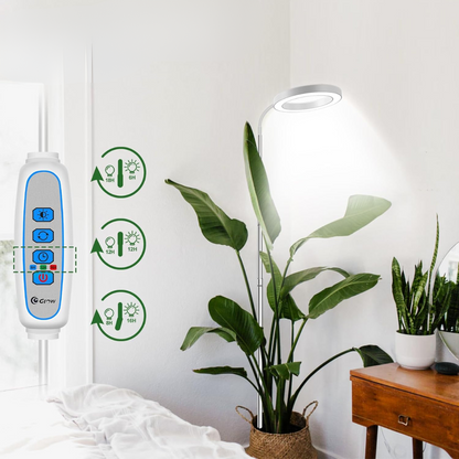 Lumine Wachstumslichter für Zimmerpflanzen