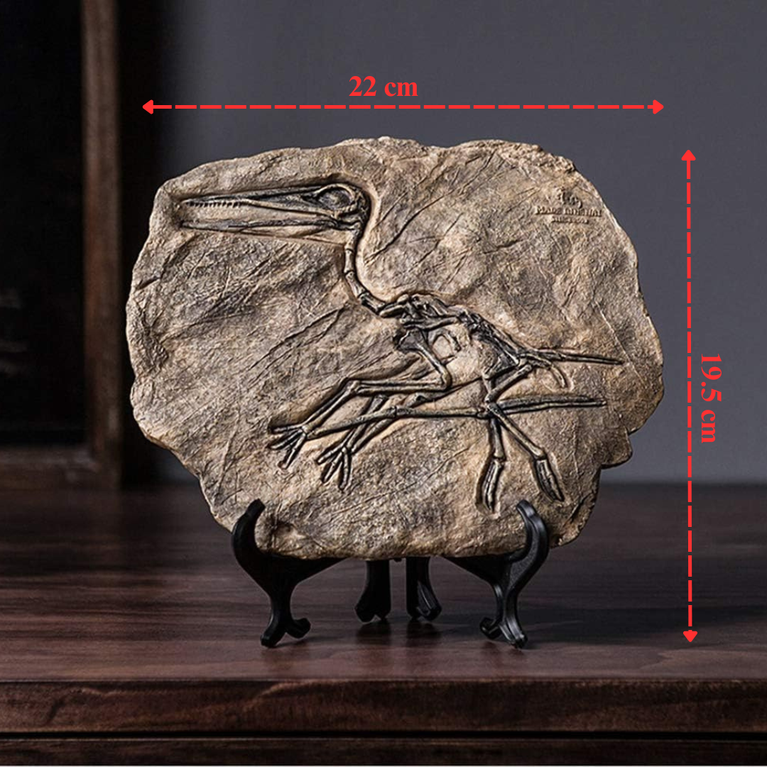 Arte de Relíquias Fósseis Pré-históricas