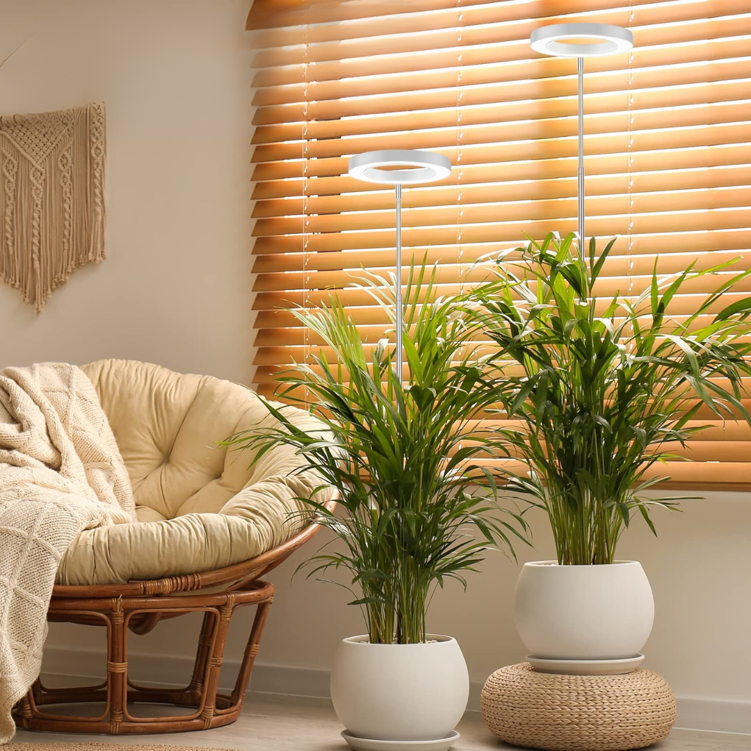 Lumine Wachstumslichter für Zimmerpflanzen