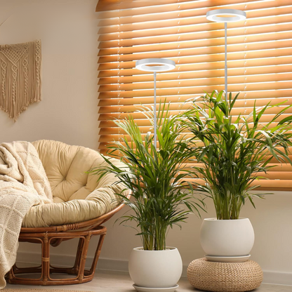 Lumine Wachstumslichter für Zimmerpflanzen