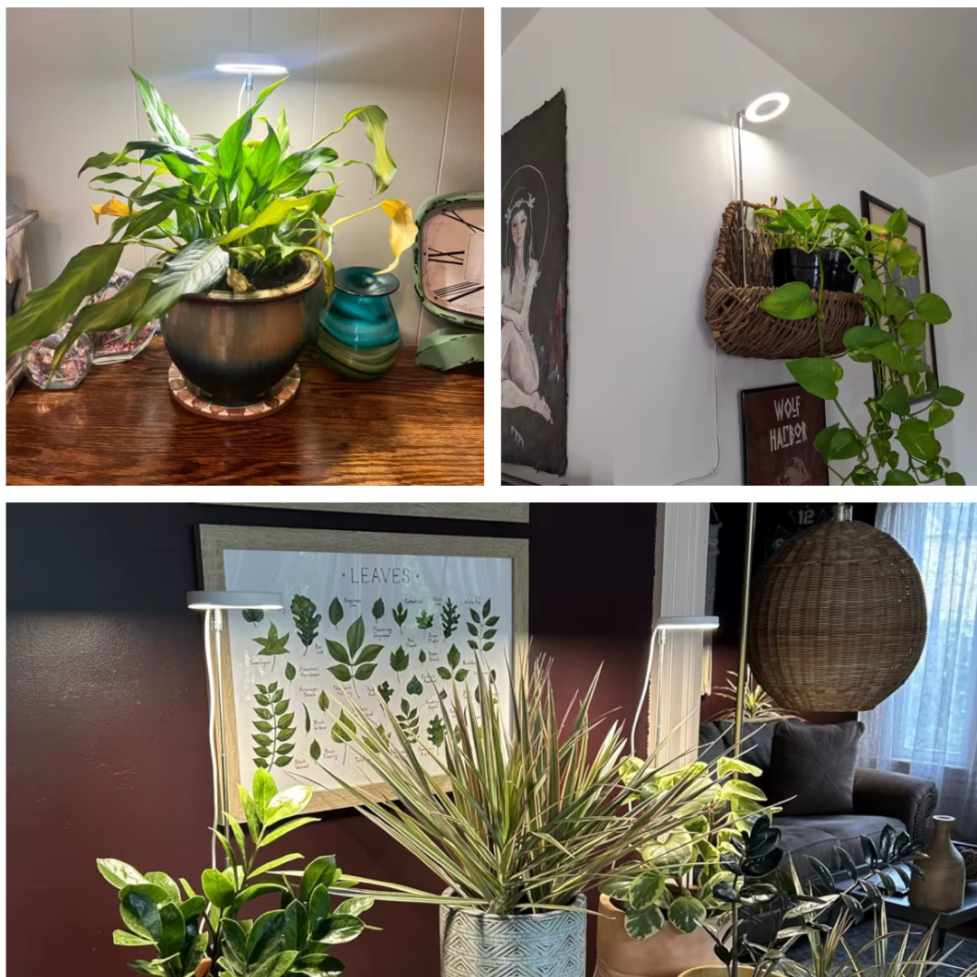 Lumine Wachstumslichter für Zimmerpflanzen